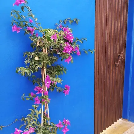 Appartement Hacienda La Extremena à Güimar Extérieur photo