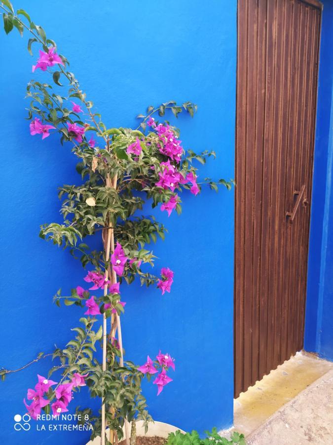 Apartamento Hacienda La Extremena Güimar