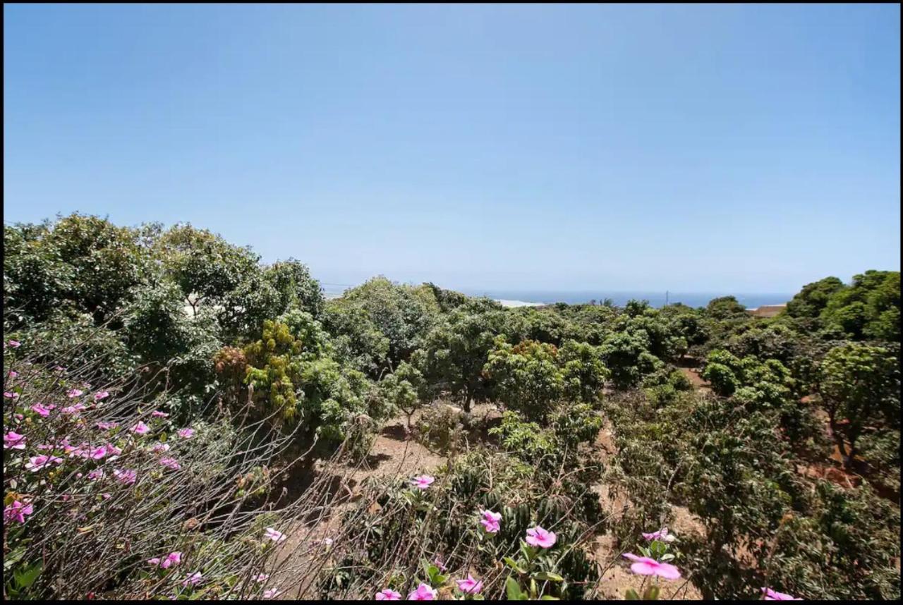 Hacienda La Extremena *